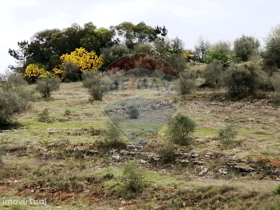 Terreno  para venda - Grande imagem: 2/6