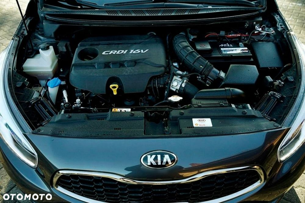 Kia Ceed - 15