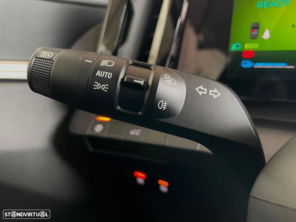 Renault Scénic - 20