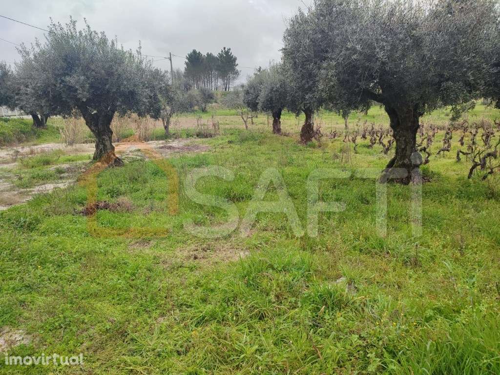 Terreno Misto para Venda - Urqueira, Ourém - Grande imagem: 2/12