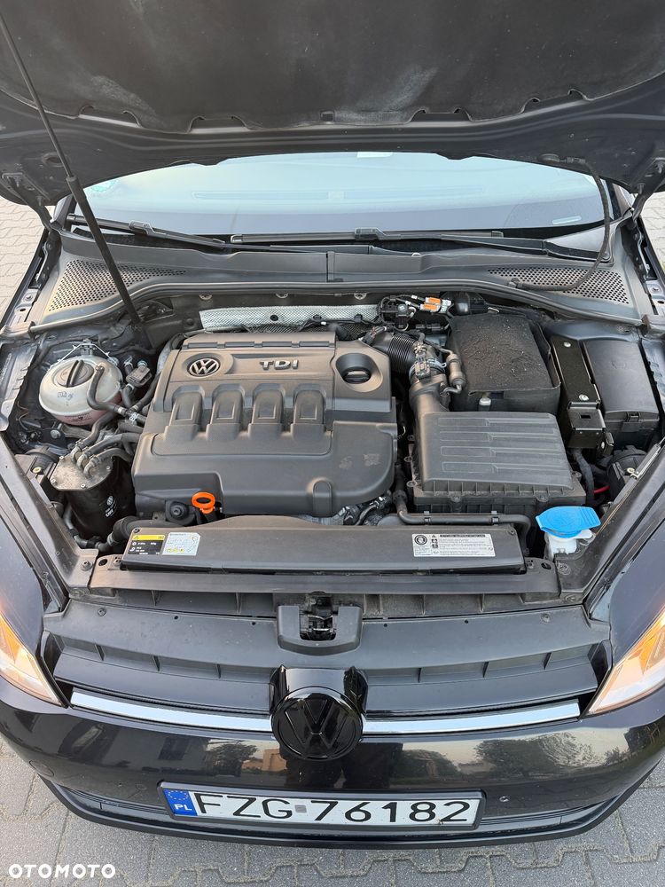 Volkswagen Golf - 28