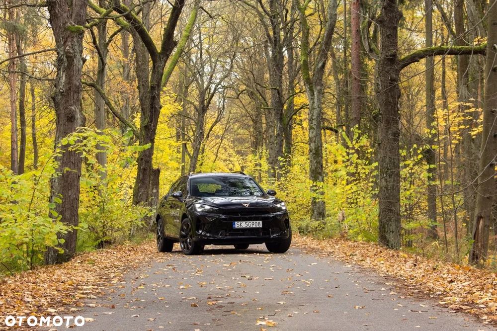 Cupra Formentor - 11