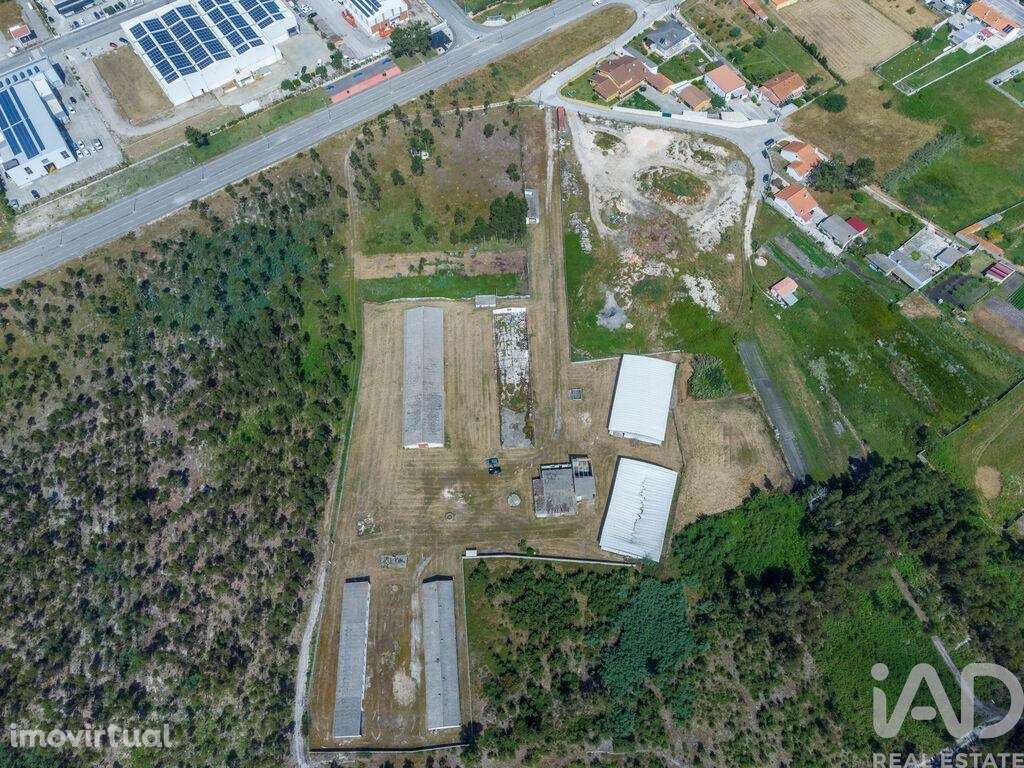 Terreno industrial em Vieira de Leiria - Grande imagem: 2/7