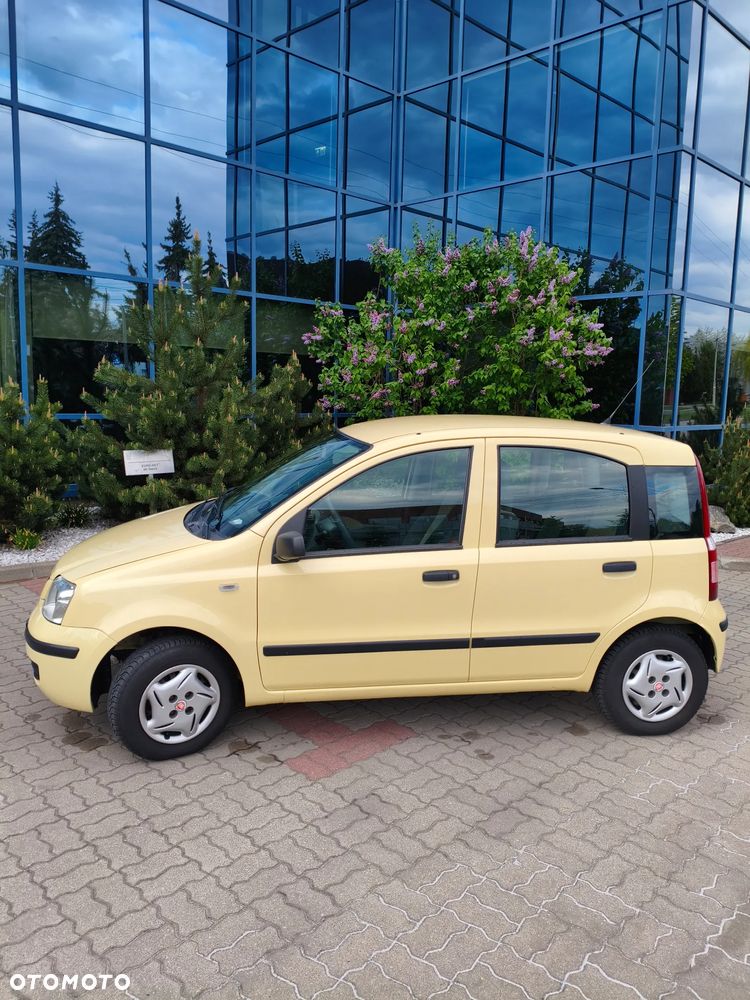 Fiat Panda 1.2 Dynamic - 1