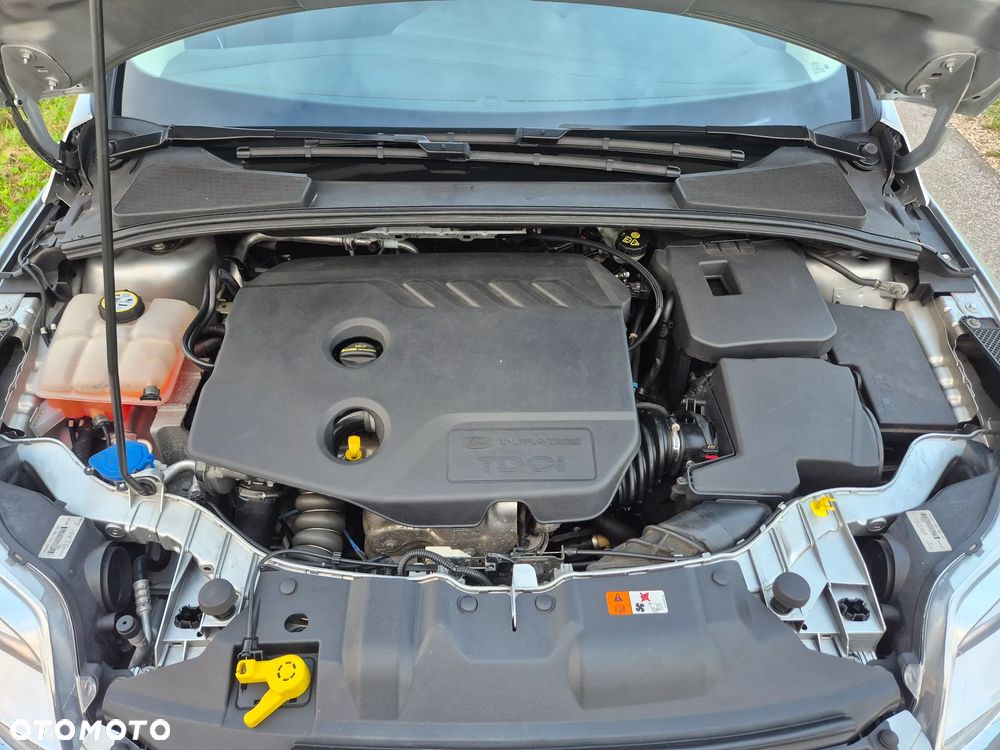 Ford Focus - 12