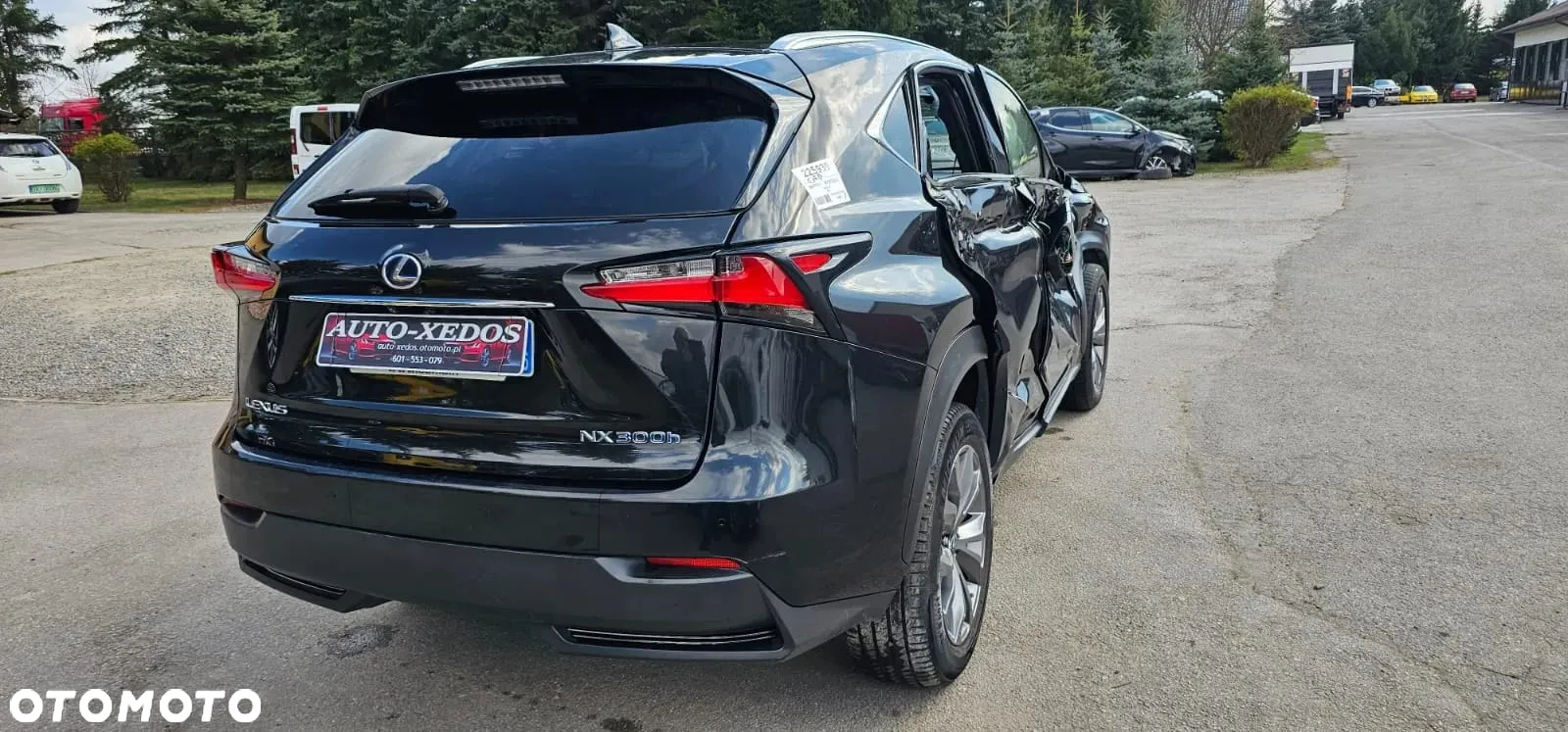 Lexus NX 300h F Sport Edition AWD - 7
