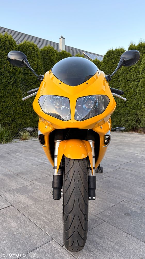 Triumph Daytona - 3