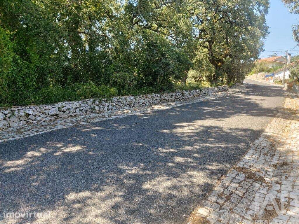 Terreno misto em Alvados e Alcaria - Grande imagem: 5/5