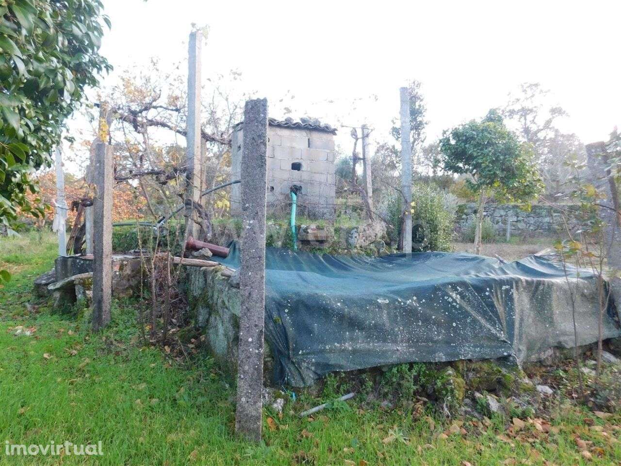 Quinta T1 / Fundão, Orca - Grande imagem: 3/11