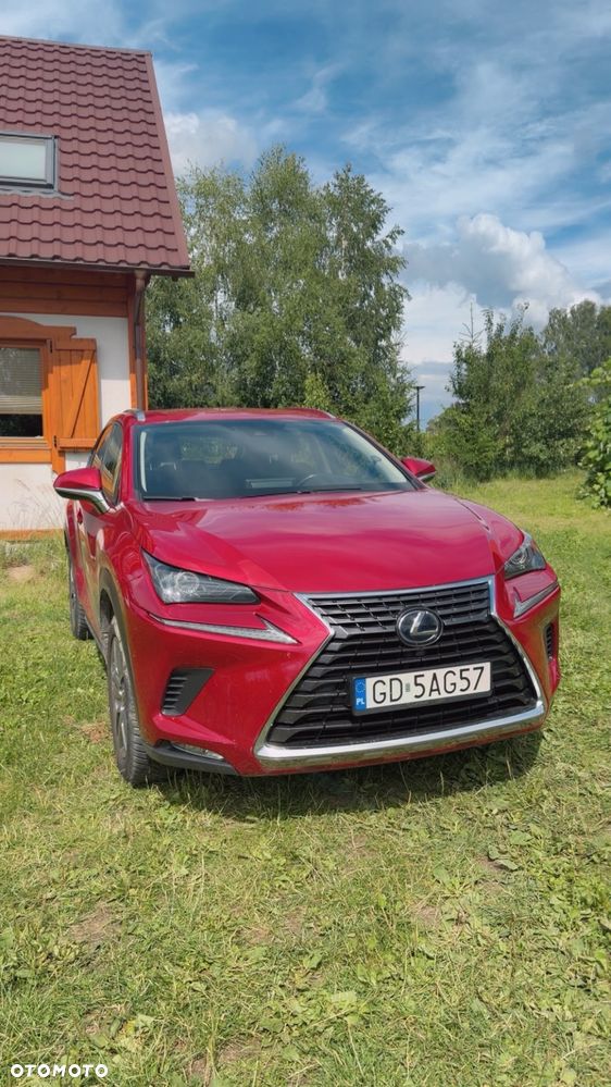 Lexus NX 300h Comfort AWD - 1