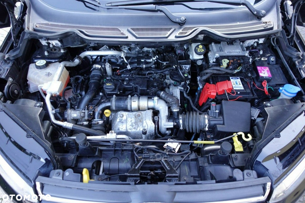 Ford EcoSport - 13