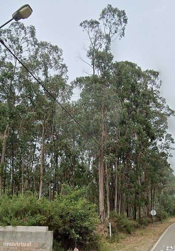 Terreno  para venda - Grande imagem: 5/5