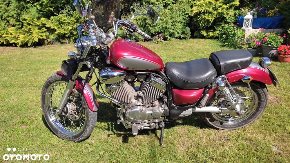 Yamaha Virago - 6