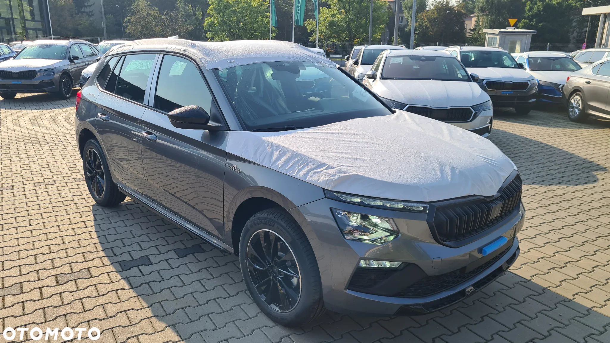 Skoda Kamiq 1.0 TSI Monte Carlo DSG - 1
