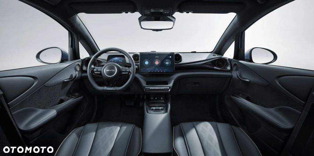 BYD Dolphin - 2