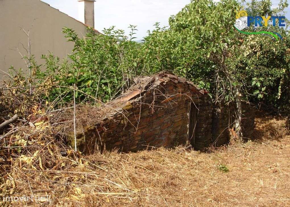 Imóvel rústico situado perto de Proença-a-Nova - Grande imagem: 5/19