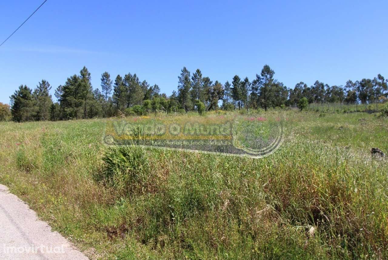 Terreno em Glória do Ribatejo (GLR034) - Grande imagem: 2/2