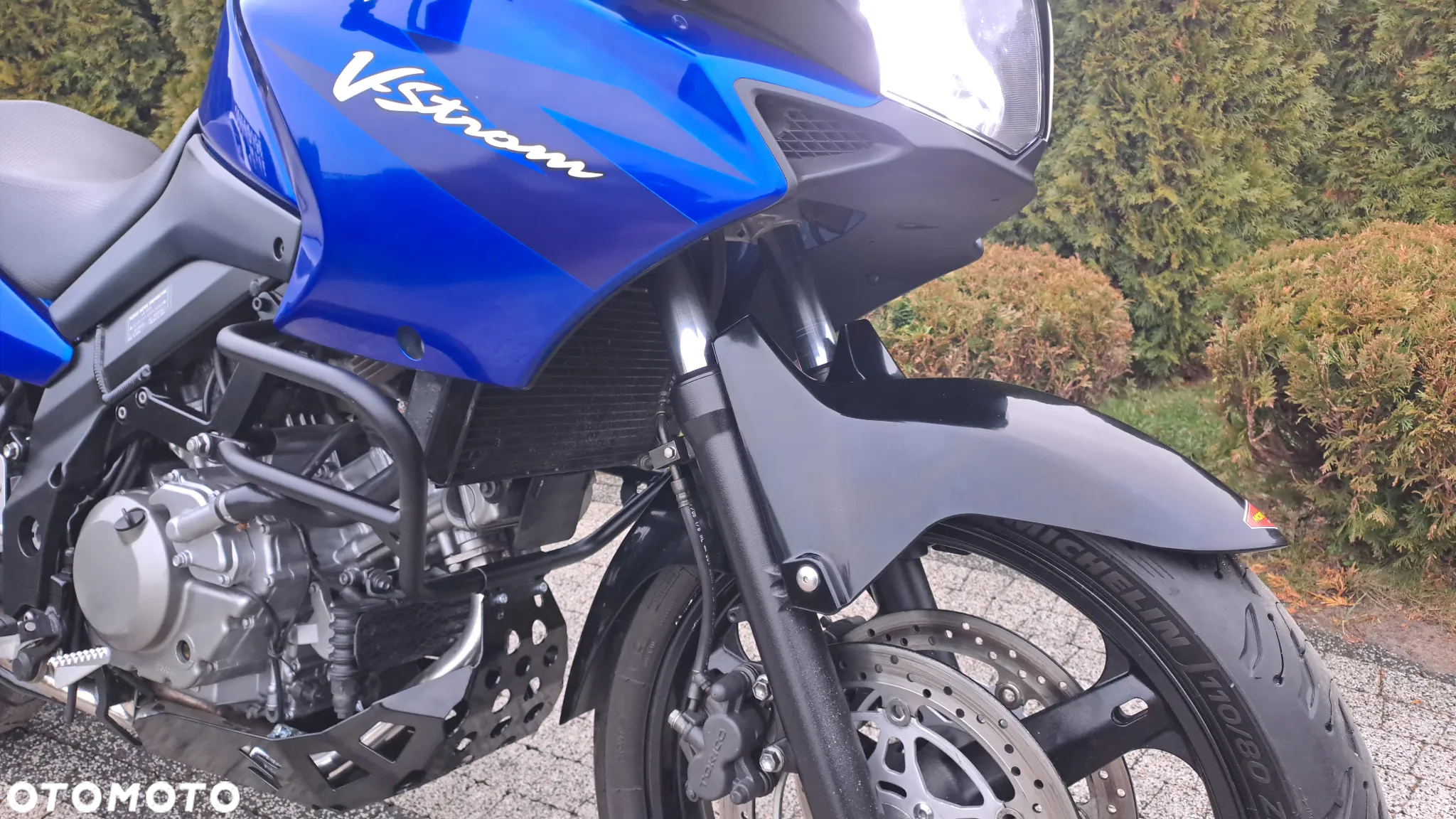 Suzuki DL - 12