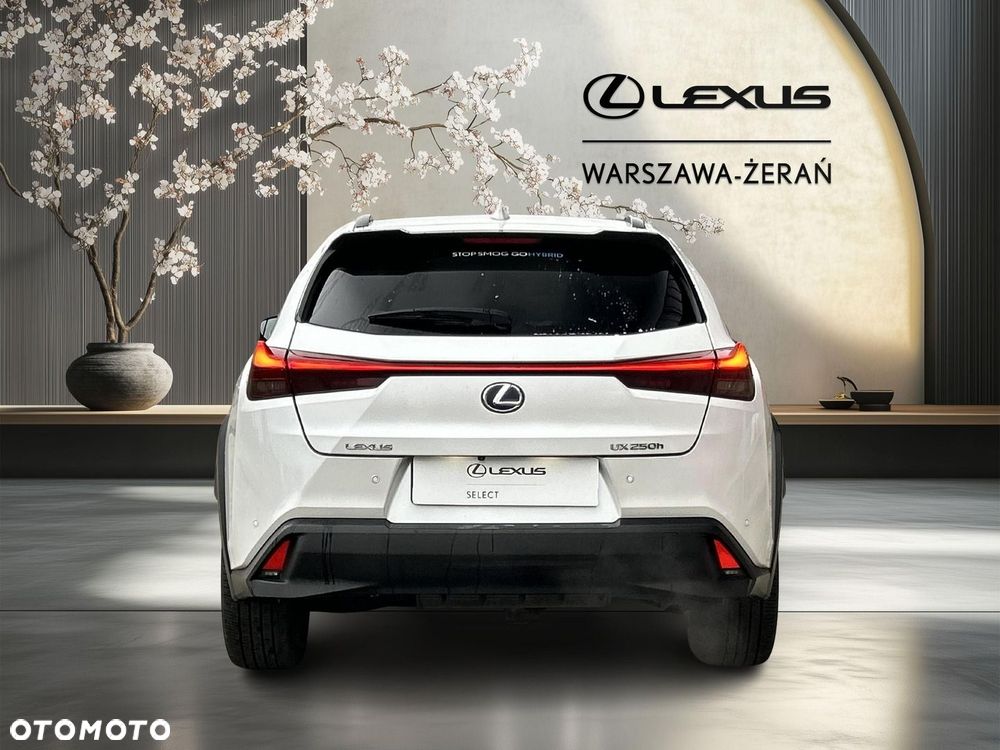 Lexus UX 250h GPF F Impression AWD - 6