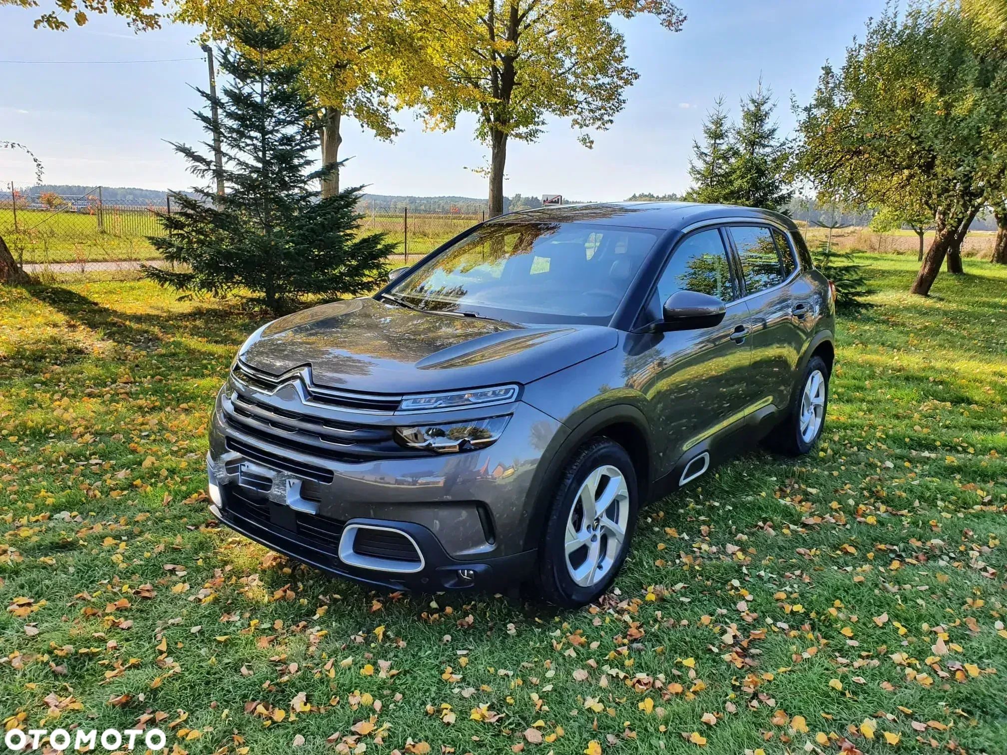 Citroën C5 Aircross BlueHDI 130 S&S EAT8 SHINE PACK - 1