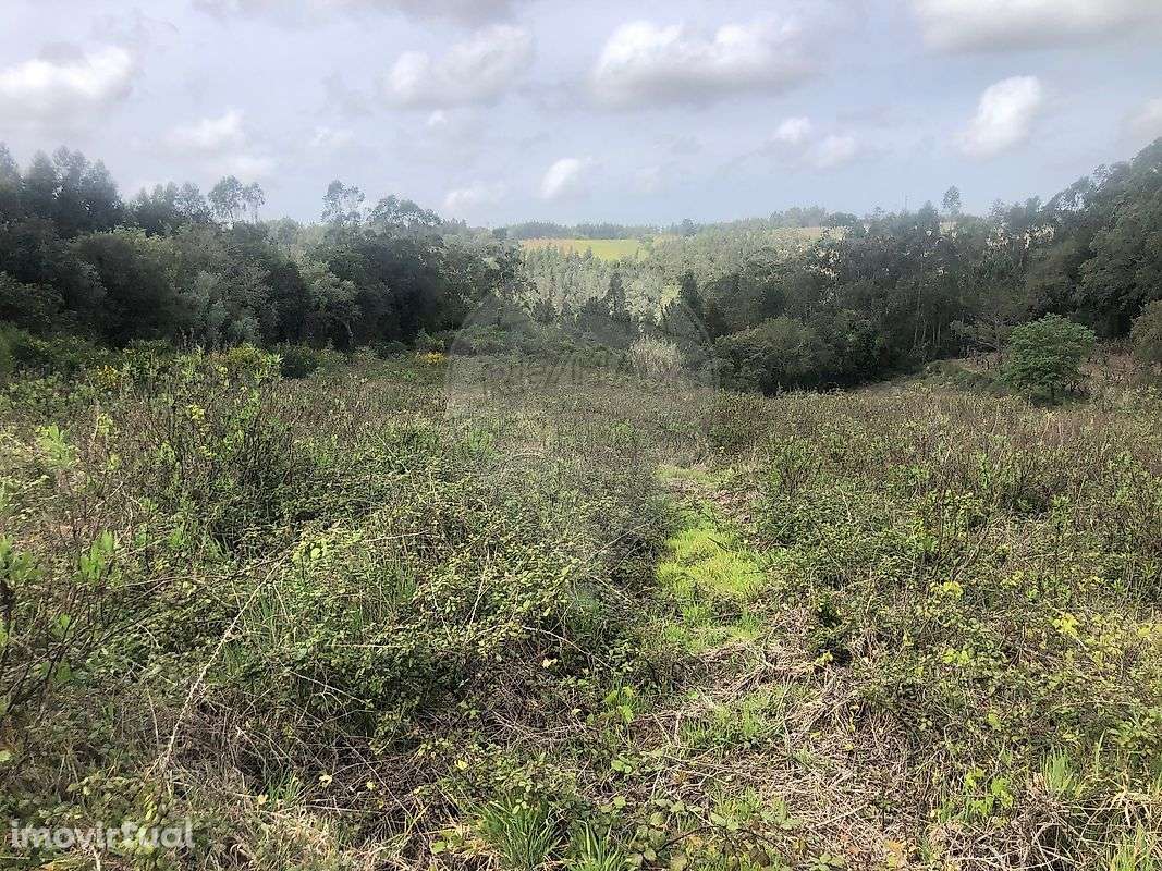 Terreno  para venda - Grande imagem: 4/5