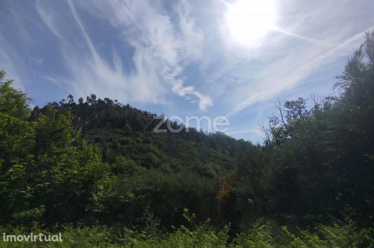 Terreno para venda na Serra da Estrela com ruína para reabilitar - Grande imagem: 3/29