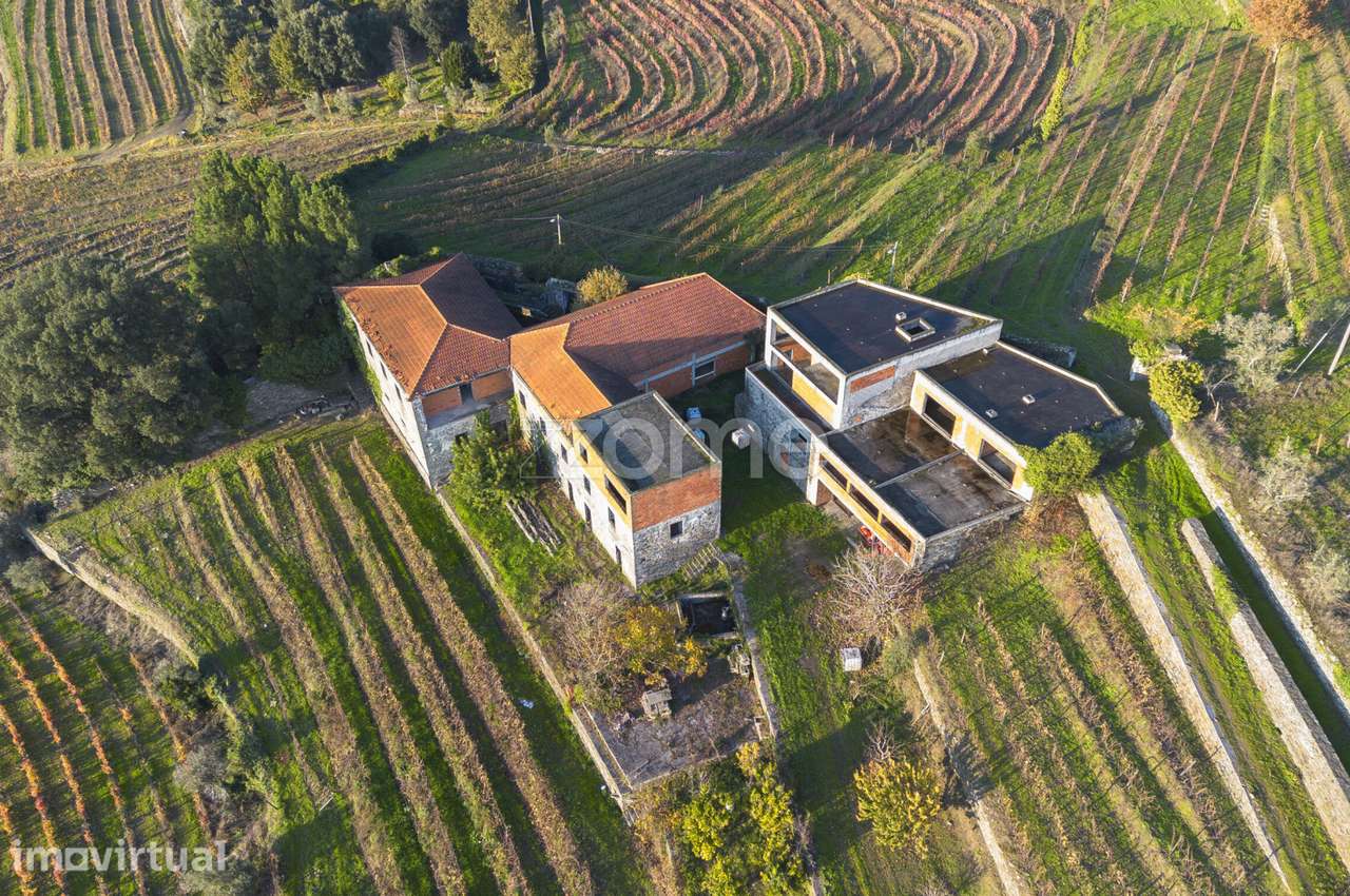 Quinta em Mesão Frio (UNESCO) com 6,6ha