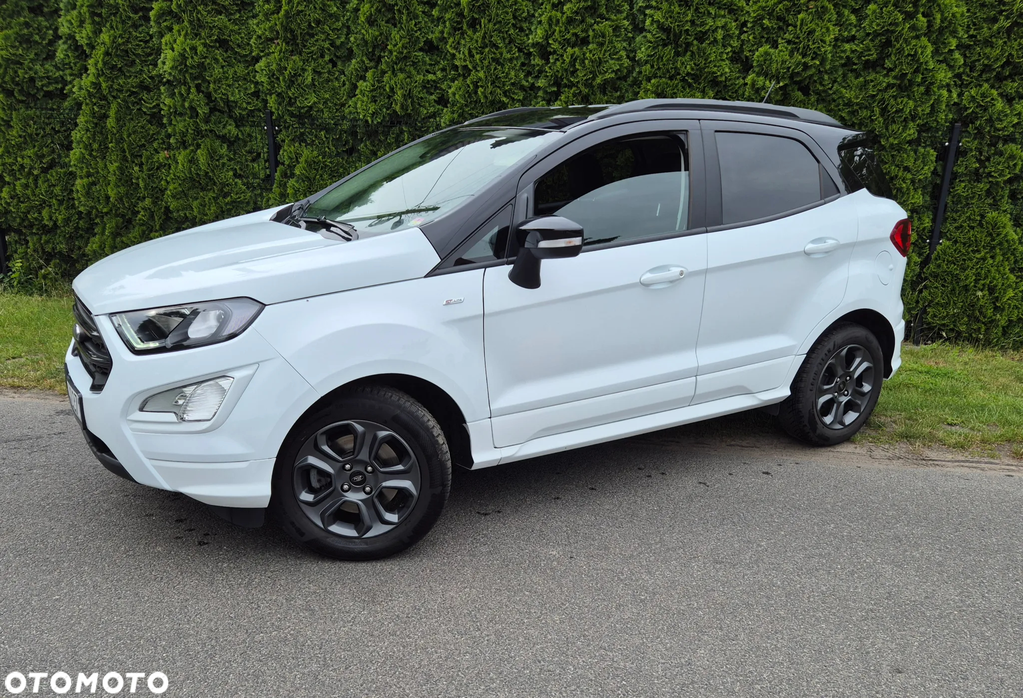 Ford Fiesta - 20