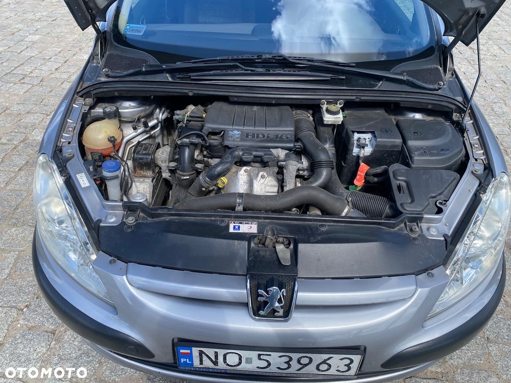 Peugeot 307 1.6 XS - 3
