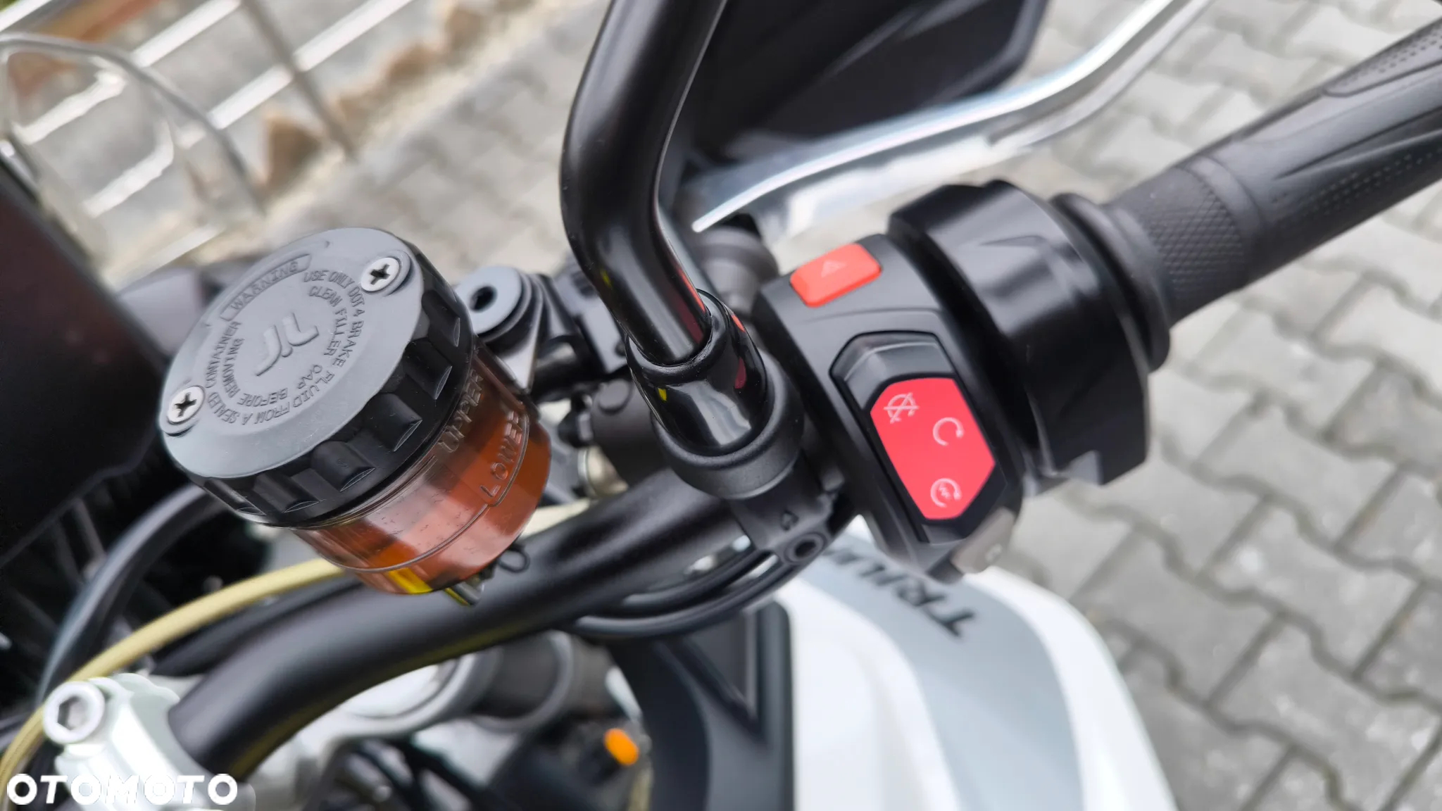 Triumph Tiger - 23