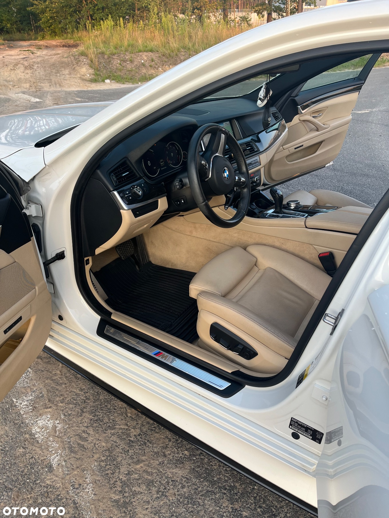 BMW Seria 5 528i xDrive - 21