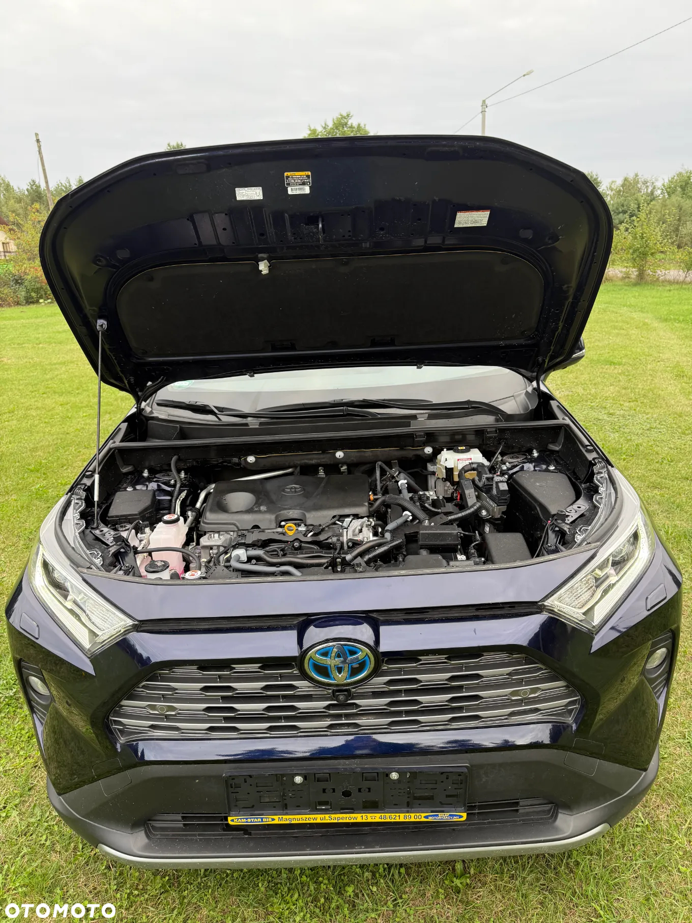 Toyota RAV4 2.5 Hybrid Executive 4x2 - 8