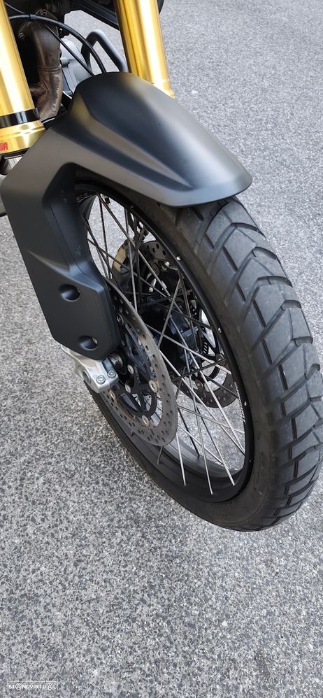 Triumph Tiger Rally Pro - 14