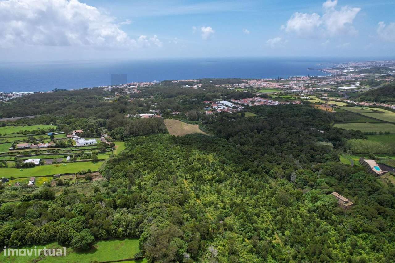 Terreno Estratégico com Elevado Potencial de Desenvolvimento em Lagoa - Grande imagem: 3/16