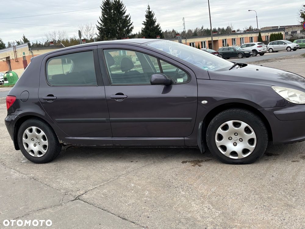 Peugeot 307 1.6 - 6