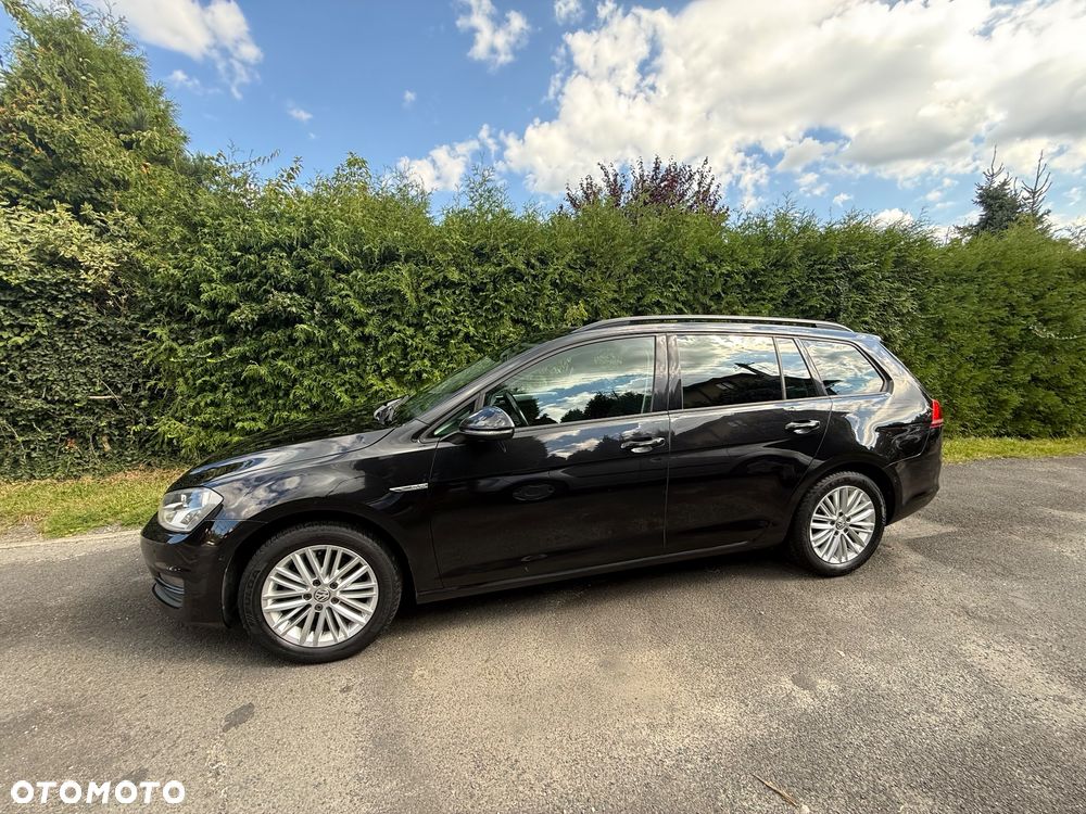 Volkswagen Golf 1.6 TDI BlueMotion Technology Cup - 3