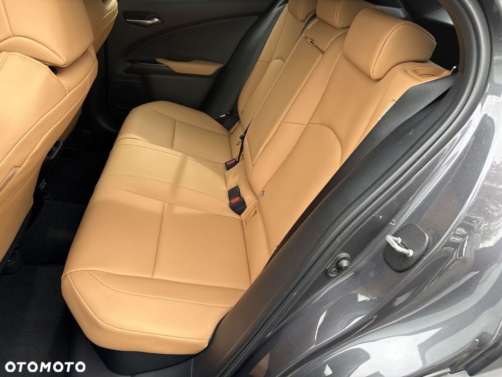Lexus UX 250h GPF F Sport Design 2WD - 20