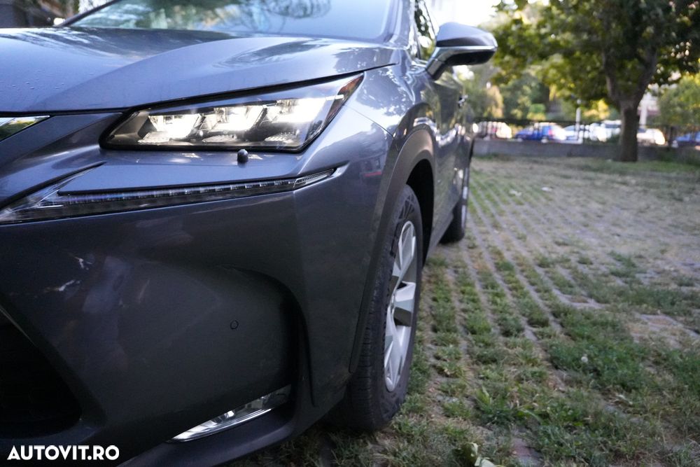 Lexus Seria NX 300h AWD Luxury - 15