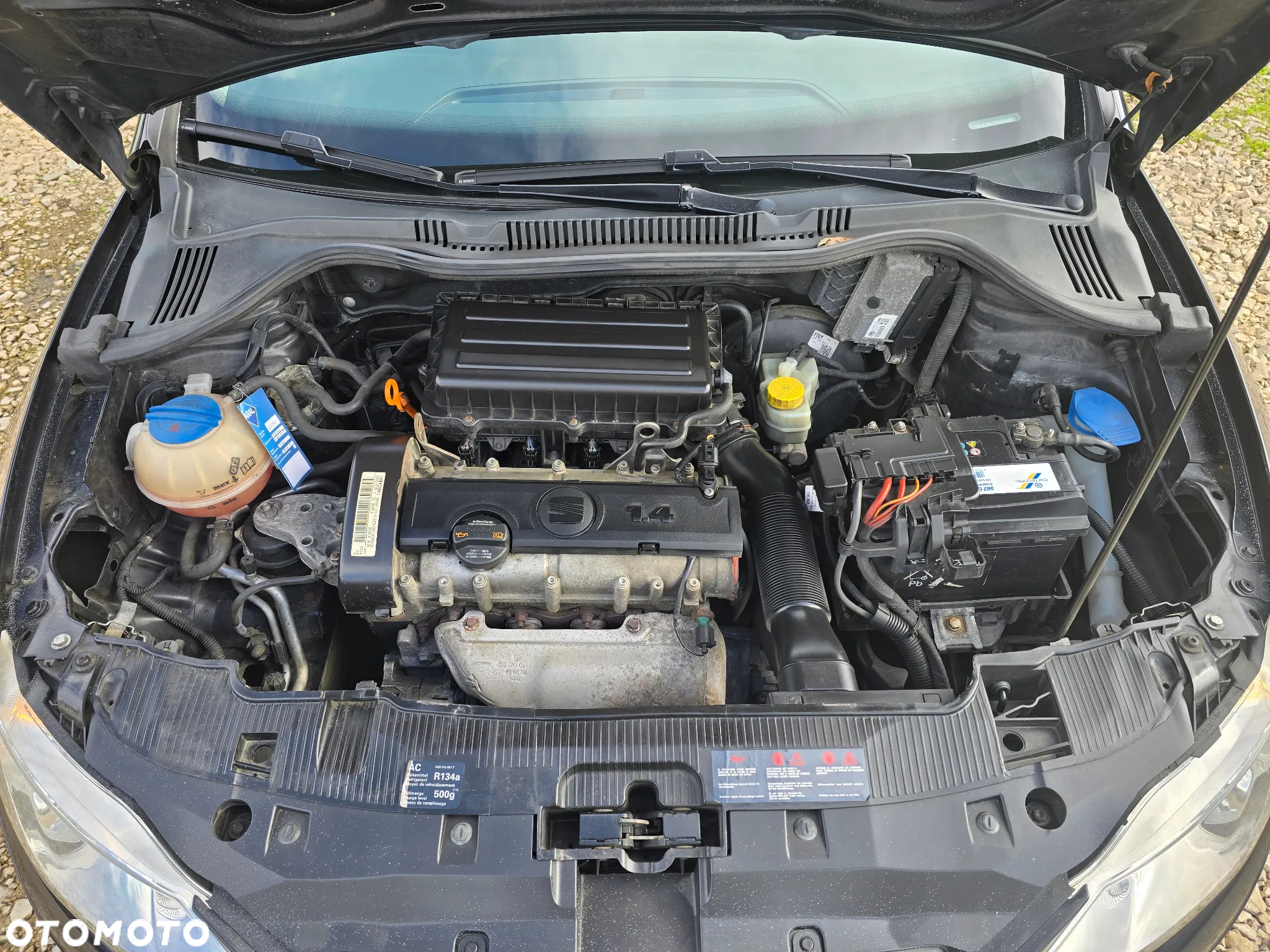 Seat Ibiza - 12