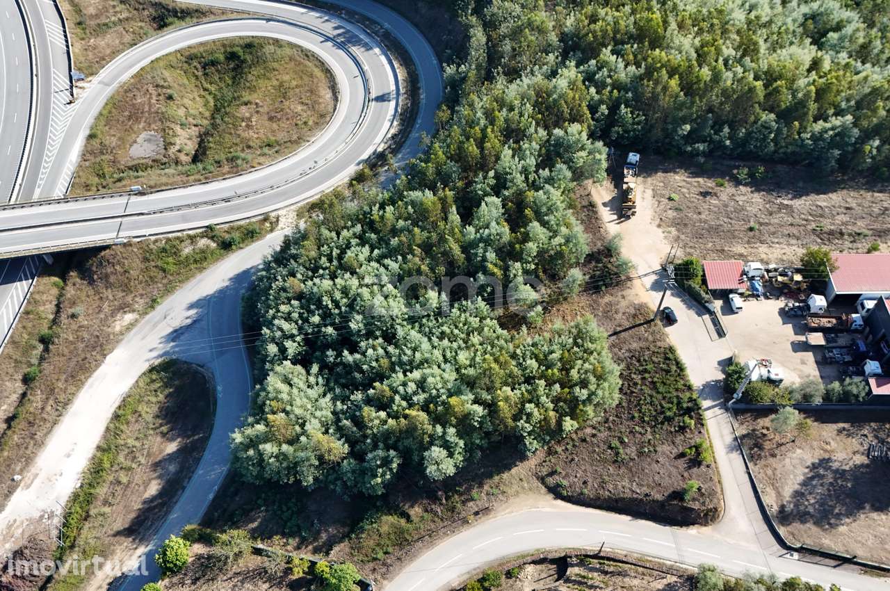 Terreno | Penacova | Porto da Raiva | 5984 m2 - Grande imagem: 5/16