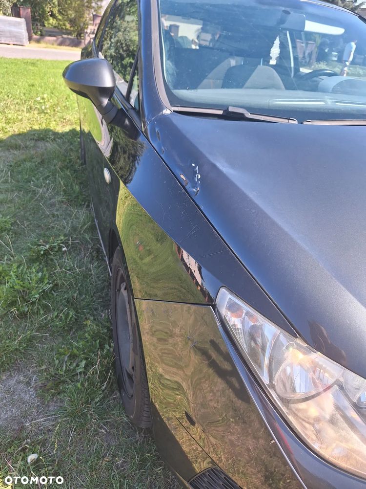 Seat Ibiza - 12