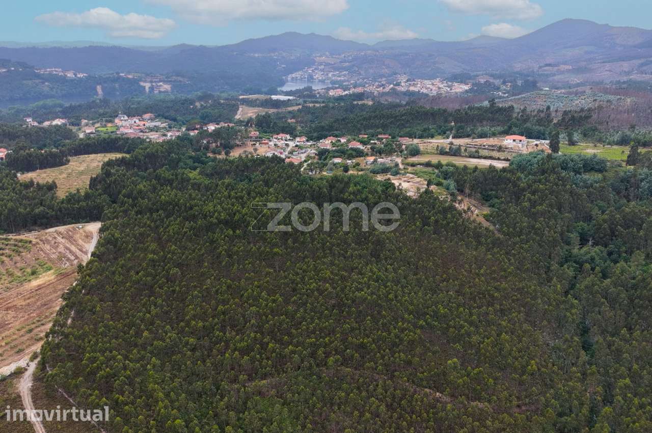 Terreno florestal urbanizável com 45.200 m2 - Melres, Gondomar - Grande imagem: 5/9
