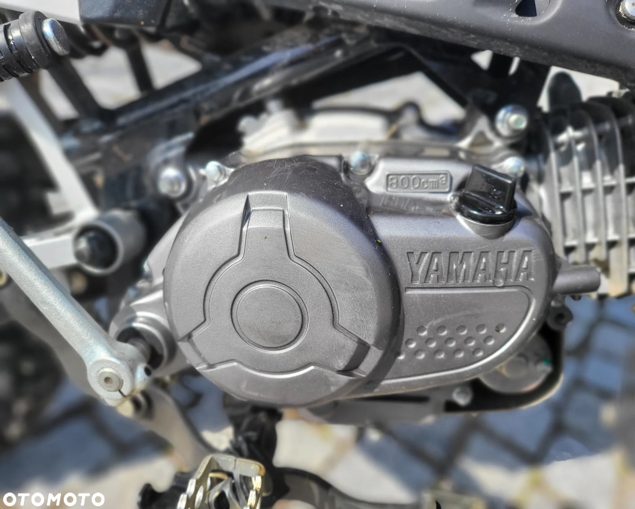Yamaha TTR