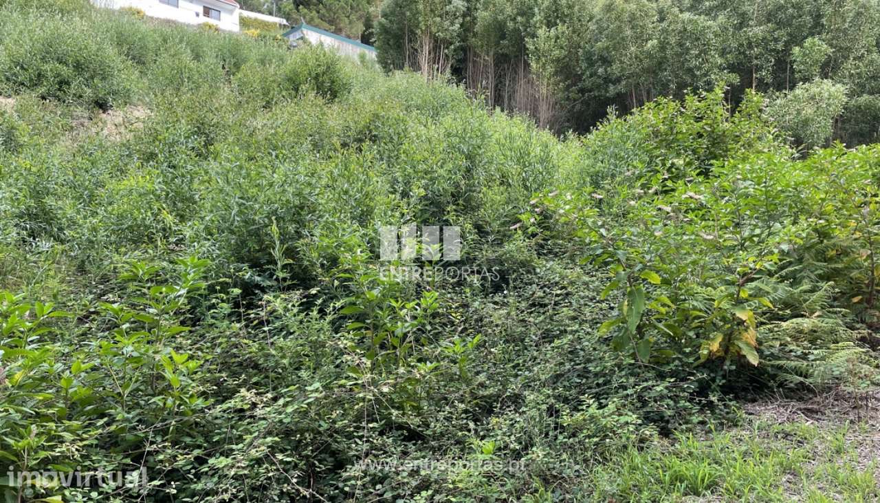 Lote de terreno para venda, Cristelo, Caminha - Grande imagem: 4/15