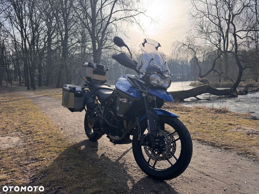 Triumph Tiger - 2