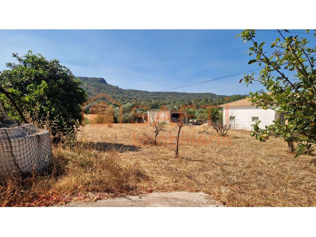Grande Potencial - Terreno com 2 casas habitáveis - Grande imagem: 2/5