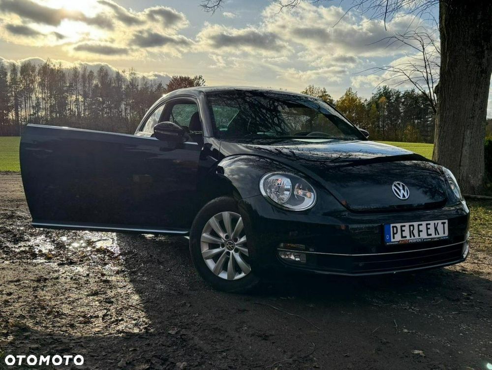 Volkswagen Beetle - 26