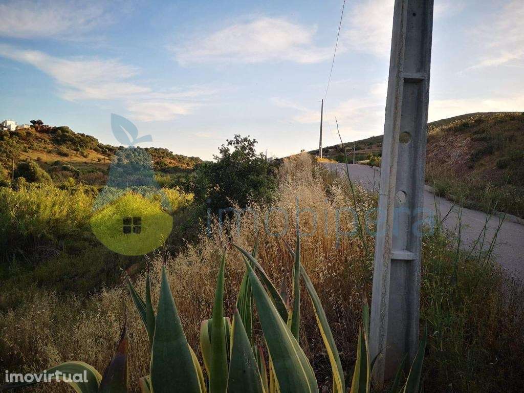 Terreno com Ruina - S.B. Messines - Grande imagem: 2/4