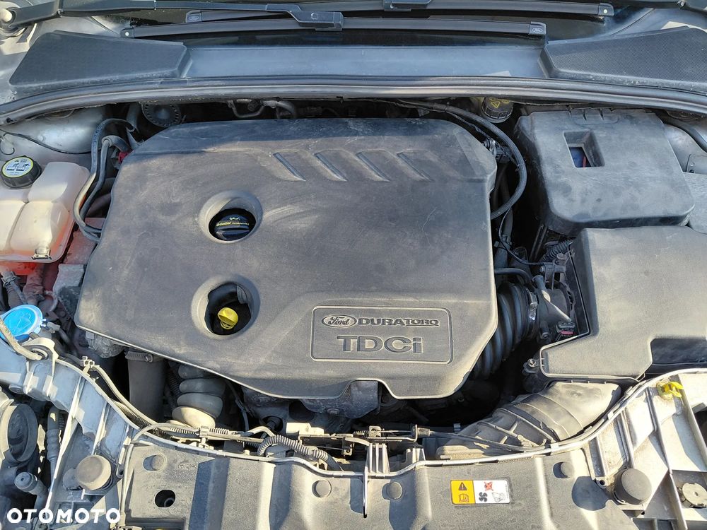 Ford Focus - 24