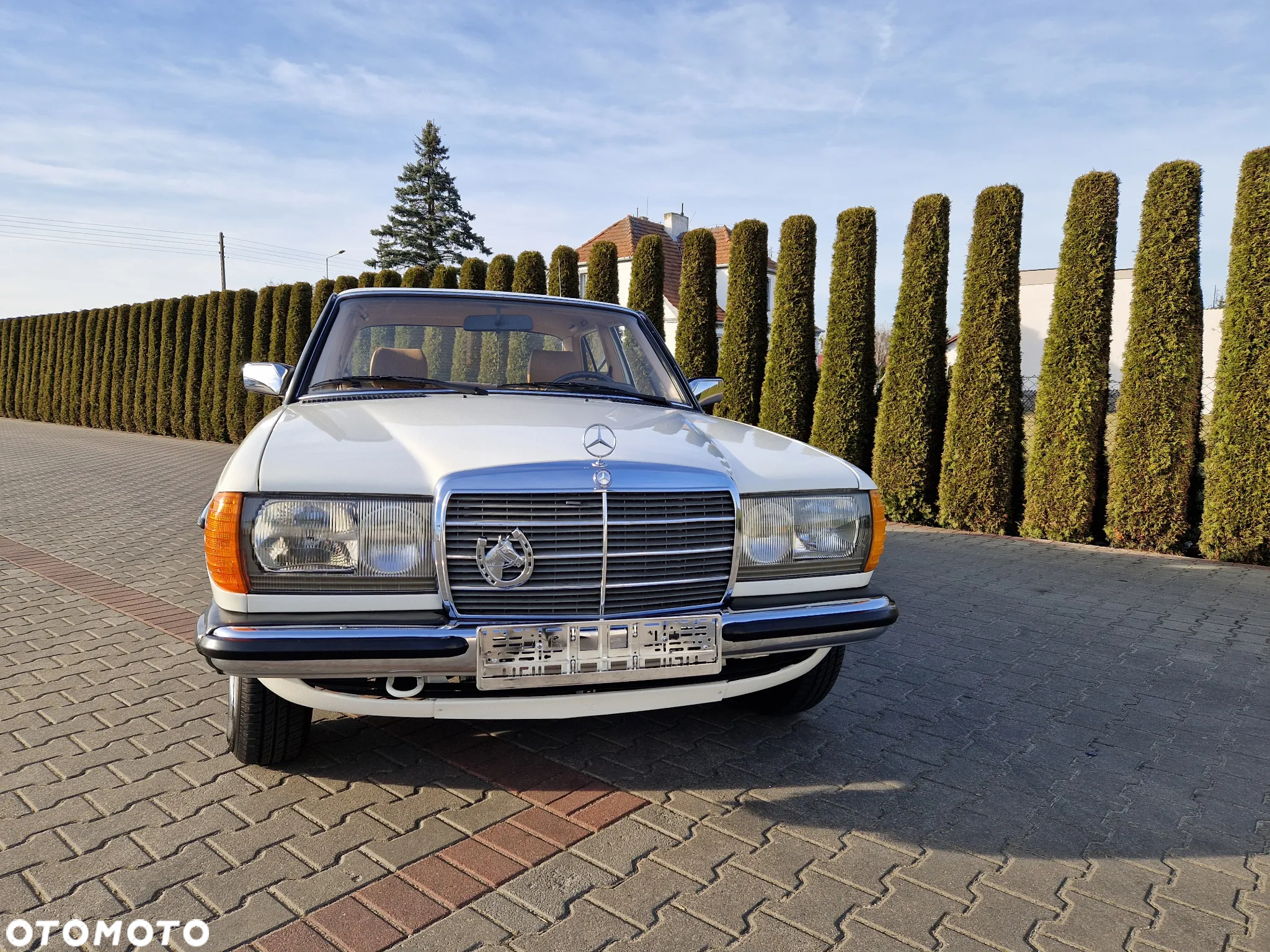 Mercedes-Benz W123 - 11